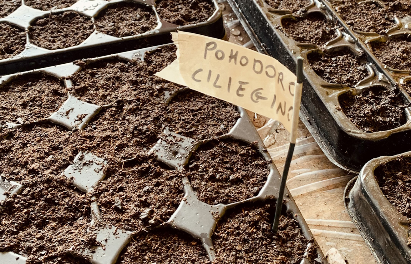 associazione Itaca progetto re-born