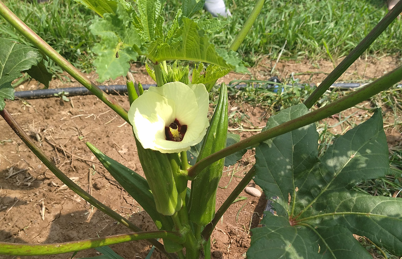 associazione Itaca progetto re-born