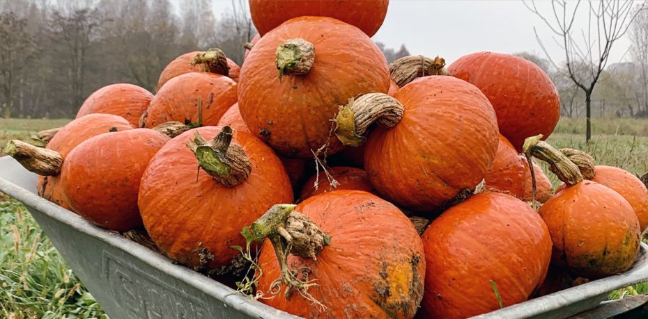 progetto ripartiamo dal lavoro