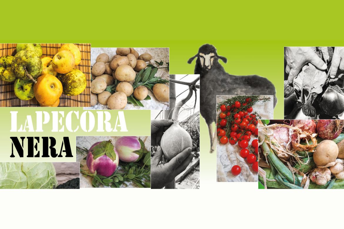 La cooperativa La Pecora Nera di Biella