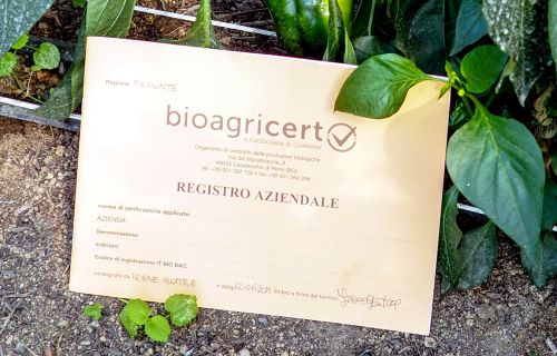 Certificato di agricoltura biologica