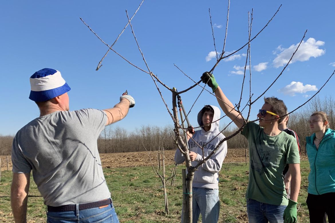 attivita didattiche alla cascina a Cerrione